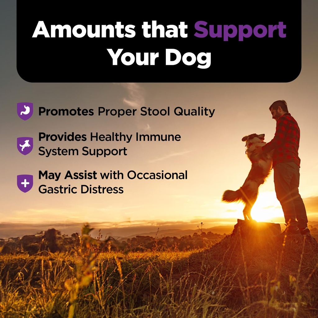 nutri-vet-pre-probiotics-for-dogs-digest-5.jpg