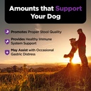 nutri-vet-pre-probiotics-for-dogs-digest-5.jpg