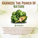 go-nutra-artichoke-extract-powder-potent-2.jpg