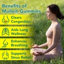 mullein-gummies-for-lungs-detox-2-pack-m-4.jpg