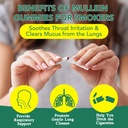 mullein-gummies-for-lungs-detox-2-pack-m-6.jpg