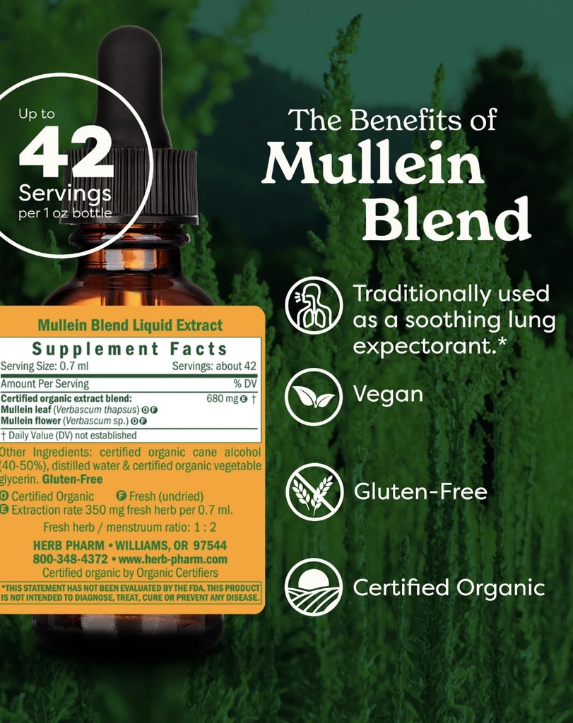 herb-pharm-mullein-blend-traditional-res-2.jpg