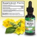 nature-s-answer-mullein-leaf-herbal-supp-3.jpg
