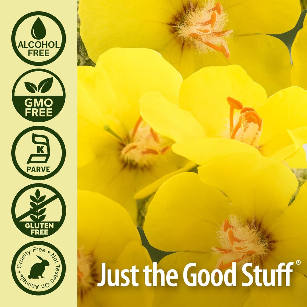 nature-s-answer-mullein-leaf-herbal-supp-5.jpg