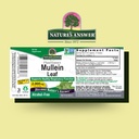 nature-s-answer-mullein-leaf-herbal-supp-2.jpg