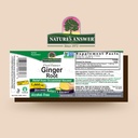 nature-s-answer-ginger-root-alcohol-free-2.jpg