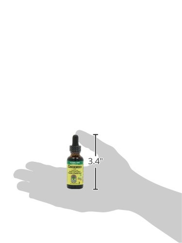 nature-s-answer-alcohol-free-chickweed-s-2.jpg