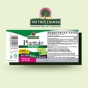nature-s-answer-plantain-leaf-with-organ-2.jpg