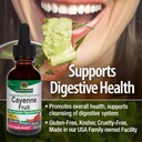 nature-s-answer-cayenne-fruit-extract-he-3.jpg