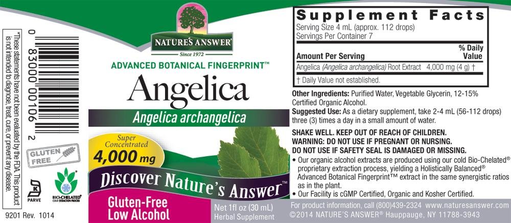 nature-s-answer-angelica-root-with-organ-3.jpg