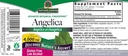 nature-s-answer-angelica-root-with-organ-3.jpg