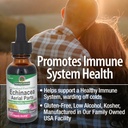 nature-s-answer-echinacea-with-organic-a-3.jpg