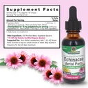 nature-s-answer-echinacea-with-organic-a-4.jpg