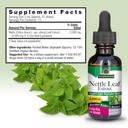 nature-s-answer-nettle-leaf-with-organic-4.jpg