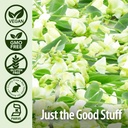 nature-s-answer-quercetin-blend-60-capsu-5.jpg