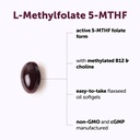 micro-ingredients-l-methylfolate-240-sof-2.jpg