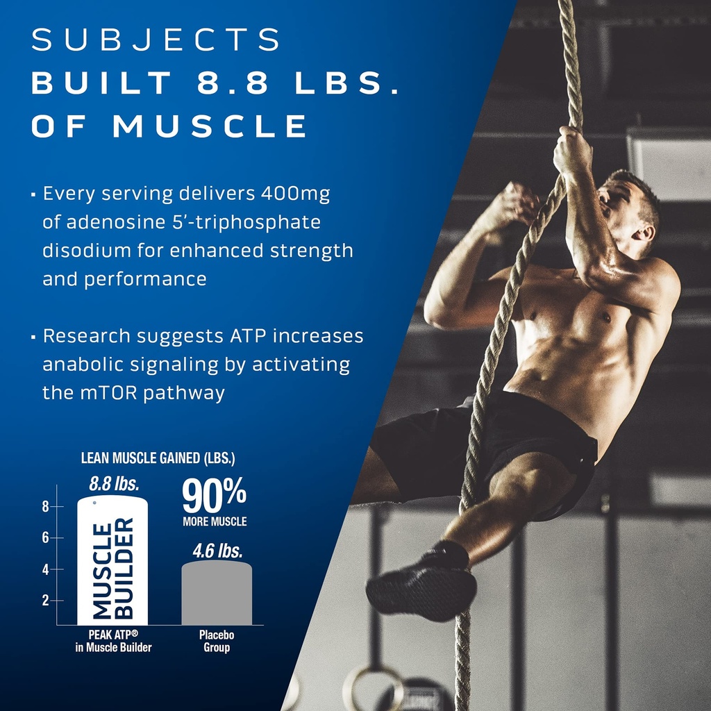 muscletech-muscle-building-multivitamin--4.jpg