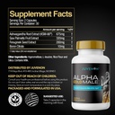 juvenon-alpha-gold-male-testosterone-boo-4.jpg