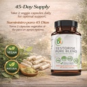 alpha-boost-testorise-men-s-vitality-end-6.jpg