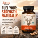 reindeer-organ-supplement-for-men-arctic-2.jpg