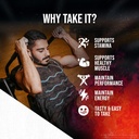 titan-max-premium-titan-max-testo-suppor-6.jpg