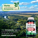 fito-medic-s-lab-cordyceps-mushroom-180--4.jpg