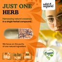 wild-organic-cordyceps-mushroom-capsules-5.jpg