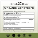 herbal-roots-organic-cordyceps-fruiting--2.jpg