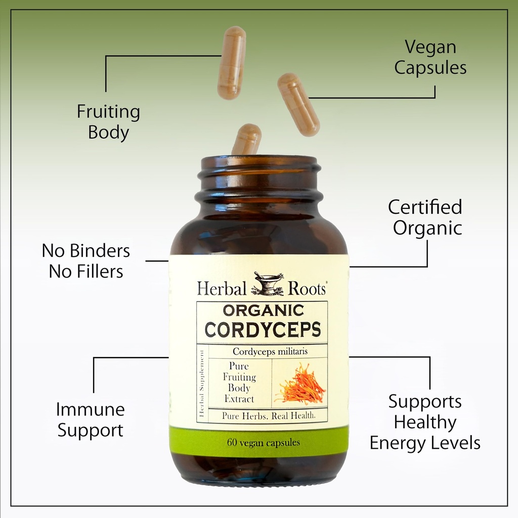 herbal-roots-organic-cordyceps-fruiting--4.jpg