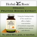 herbal-roots-organic-cordyceps-fruiting--5.jpg