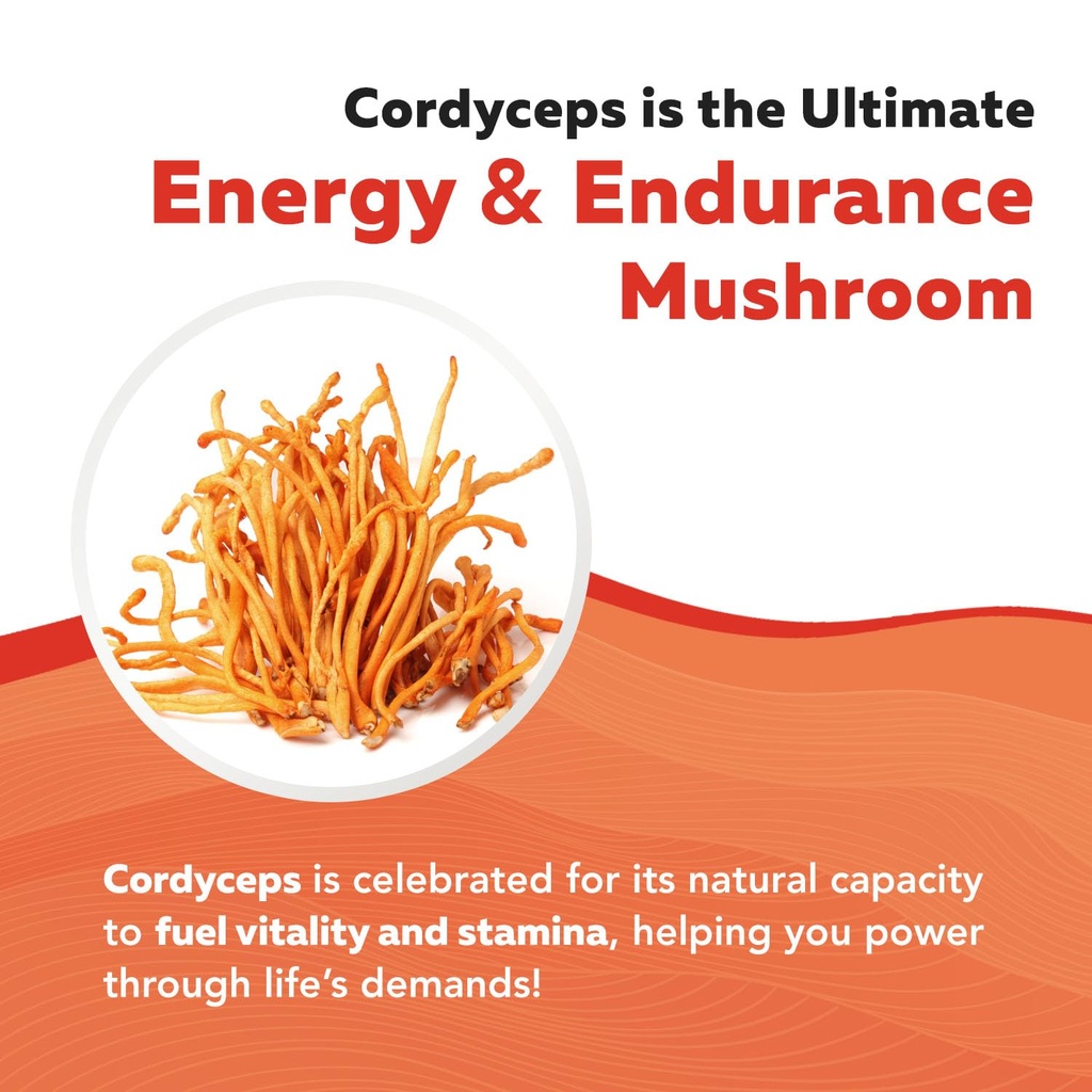 organic-cordyceps-mushroom-extract-70-be-4.jpg