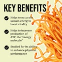 north-spore-organic-cordyceps-mushroom-t-4.jpg
