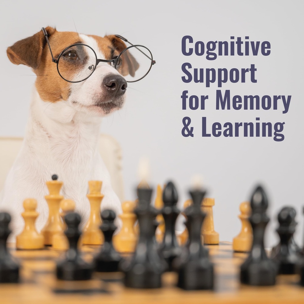 dogzymes-choline-aids-in-brain-function--3.jpg