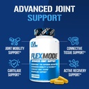 high-absorption-joint-support-supplement-4.jpg
