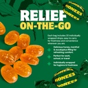 honees-honey-menthol-cough-drops-20-piec-3.jpg