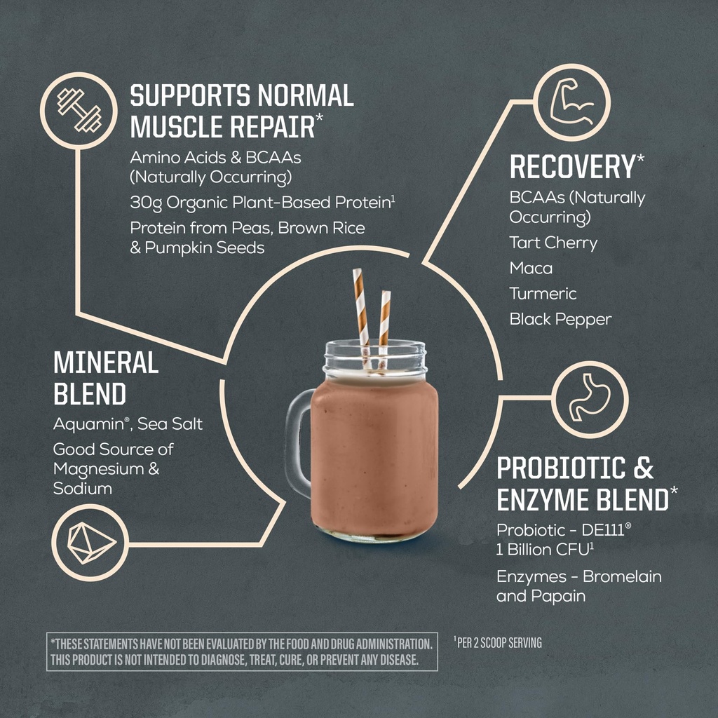 sunwarrior-organic-plant-based-protein-p-4.jpg