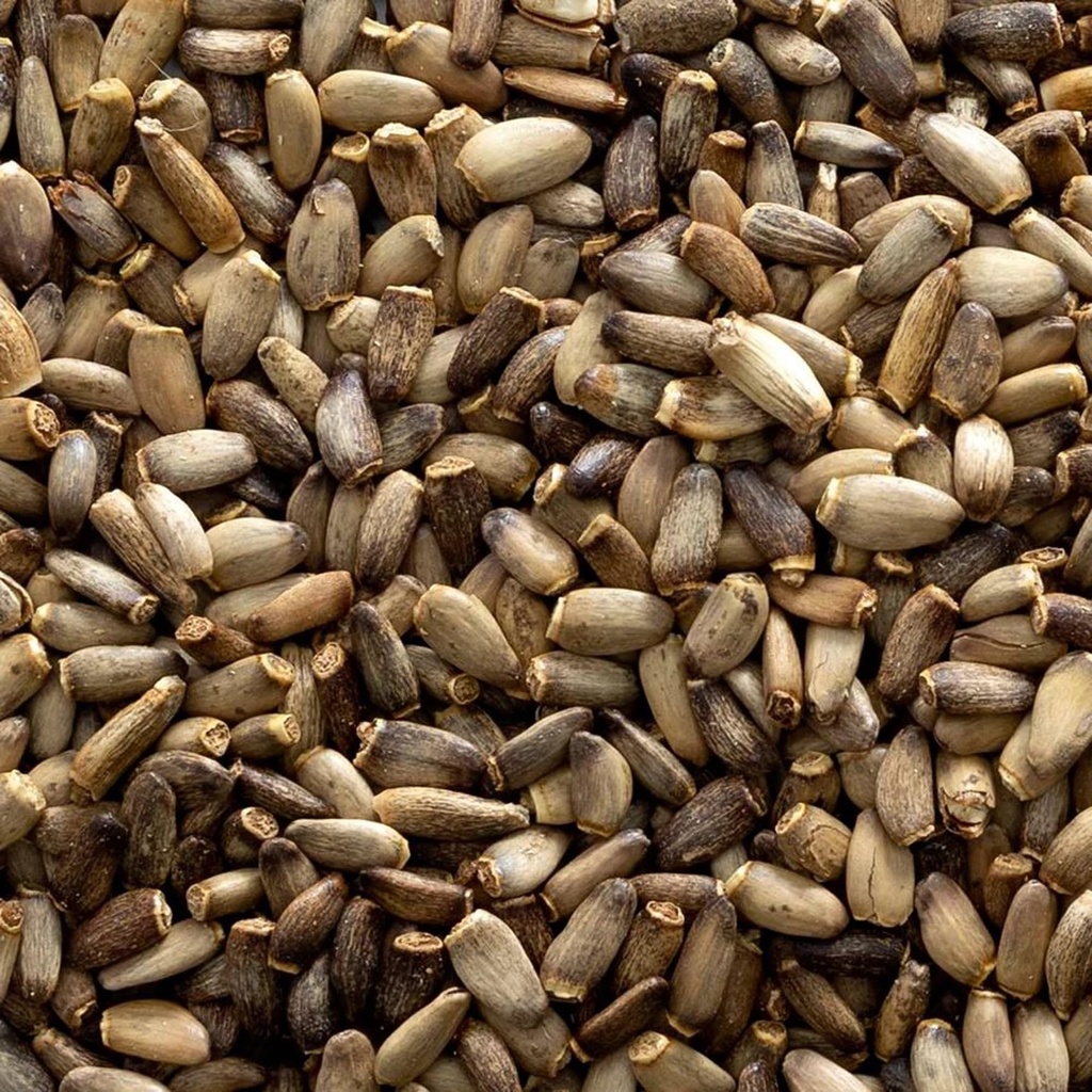 frontier-milk-thistle-seed-whole-3.jpg