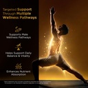 men-s-t-fuel-vitality-support-for-men-ho-3.jpg