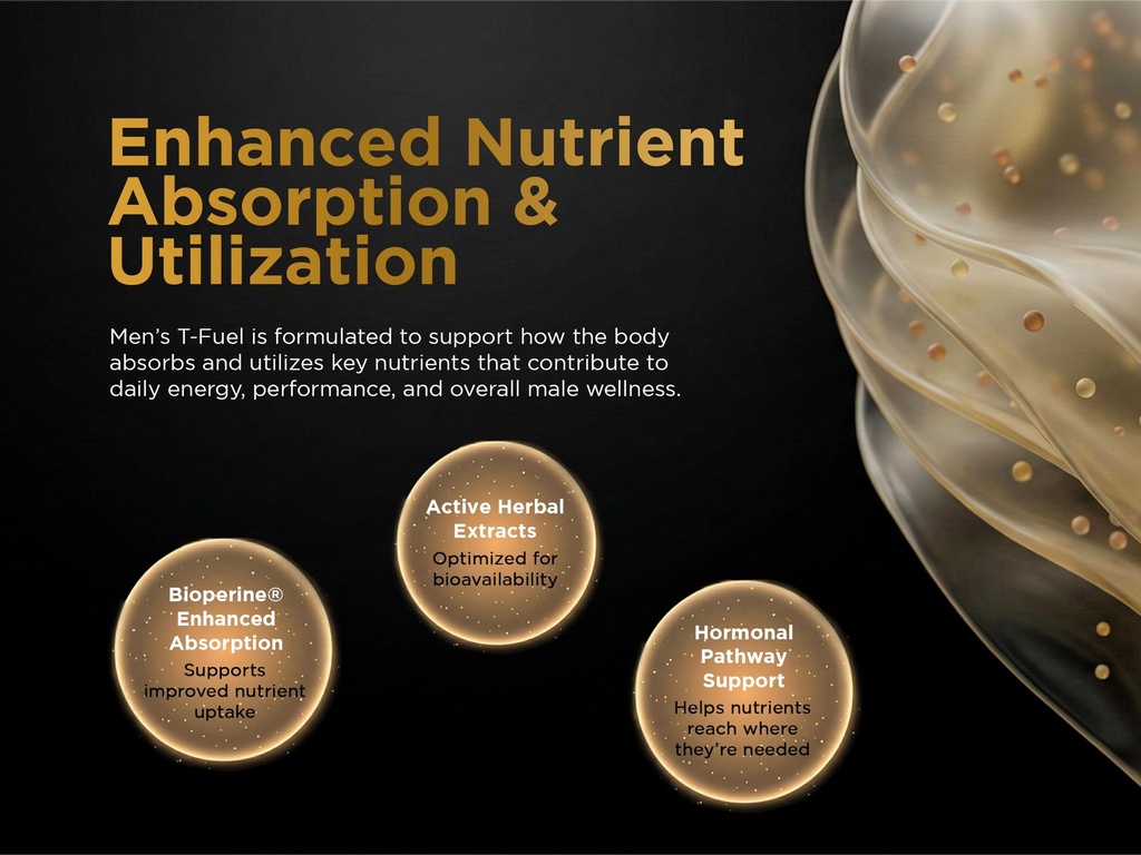 men-s-t-fuel-vitality-support-for-men-ho-5.jpg