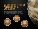 men-s-t-fuel-vitality-support-for-men-ho-5.jpg
