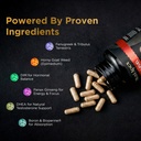 men-s-t-fuel-vitality-support-for-men-ho-6.jpg