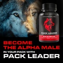 pack-leader-ultimate-male-performance-an-4.jpg