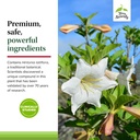 terry-naturally-sucontral-d-b-complex-fo-5.jpg