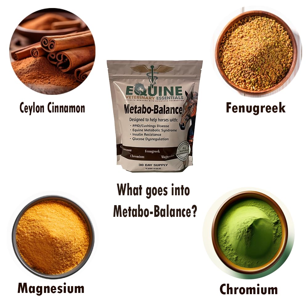 metabobalance-equine-metabolic-support-s-2.jpg
