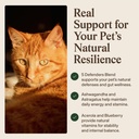 real-mushroom-immune-pet-chews-for-daily-5.jpg