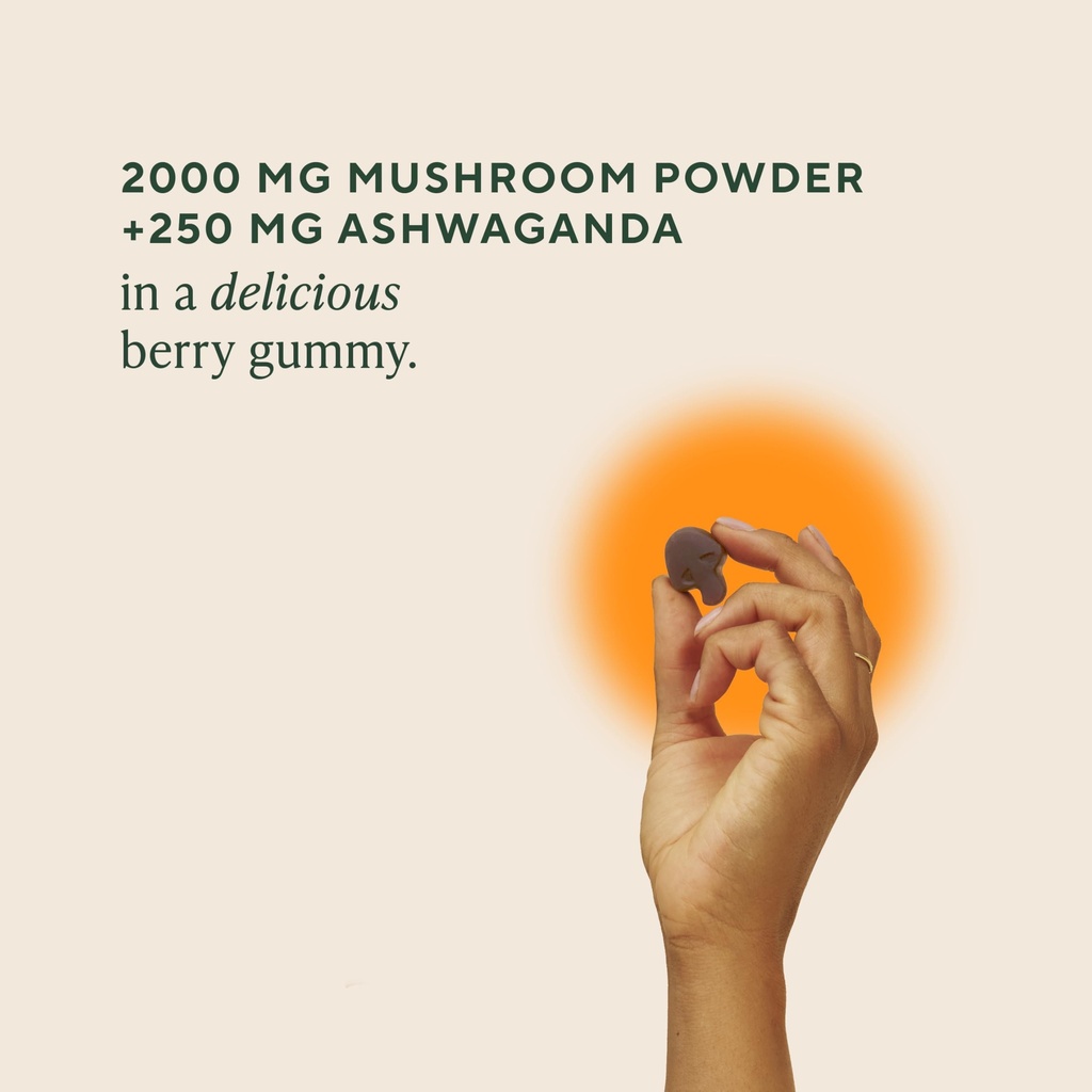 om-mushroom-superfood-master-blend-mushr-2.jpg