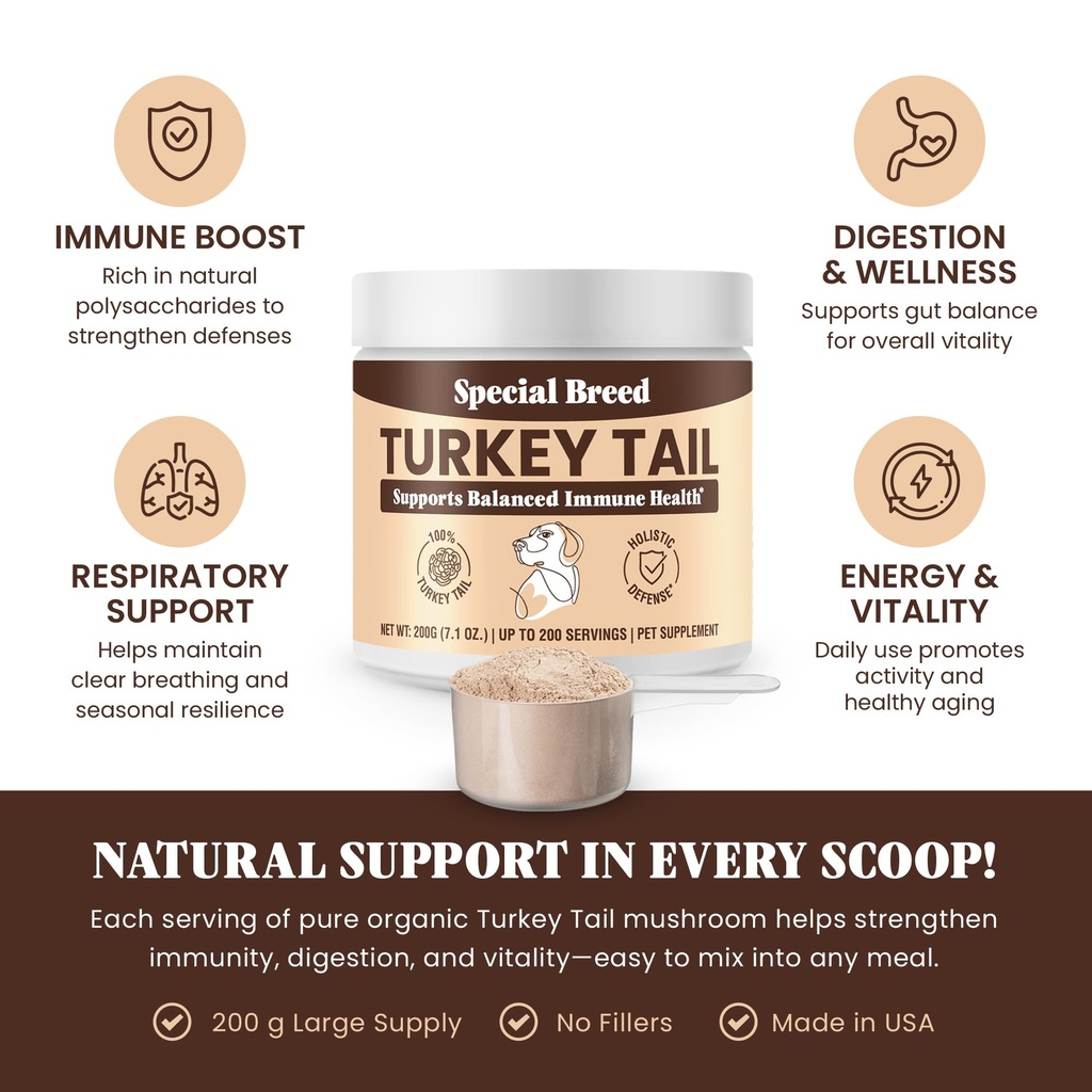 organic-turkey-tail-mushroom-for-dogs-an-2.jpg