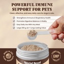 organic-turkey-tail-mushroom-for-dogs-an-3.jpg