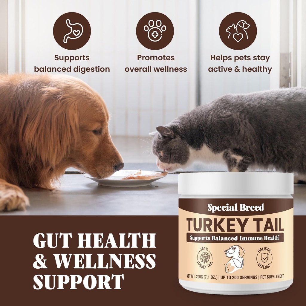 organic-turkey-tail-mushroom-for-dogs-an-6.jpg