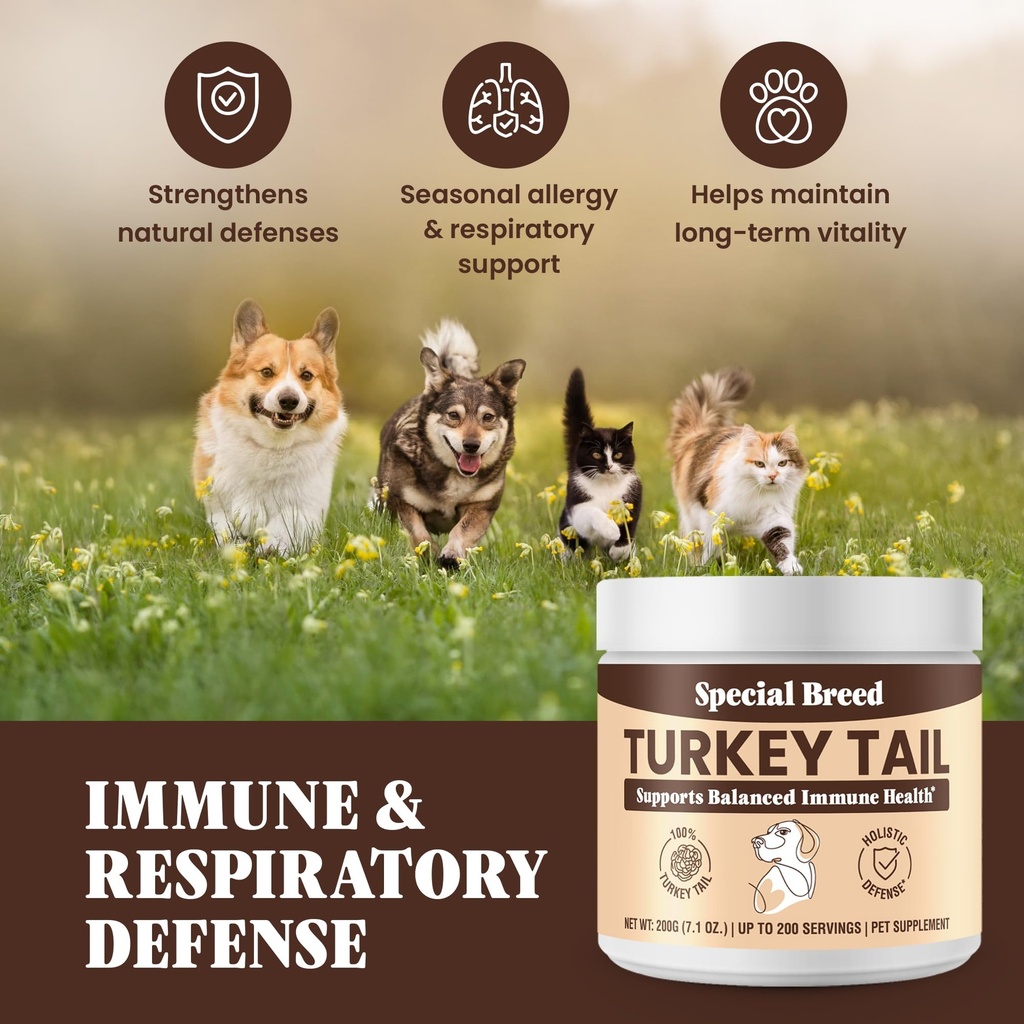 organic-turkey-tail-mushroom-for-dogs-an-5.jpg